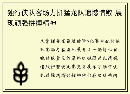 独行侠队客场力拼猛龙队遗憾惜败 展现顽强拼搏精神