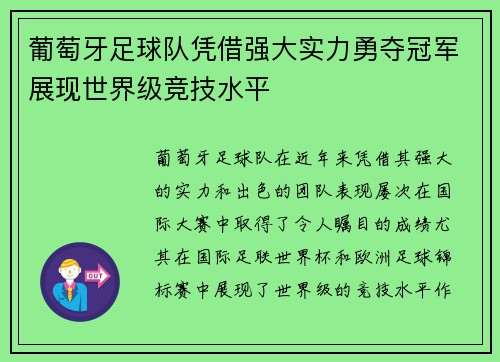 葡萄牙足球队凭借强大实力勇夺冠军展现世界级竞技水平